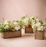 flower boxes